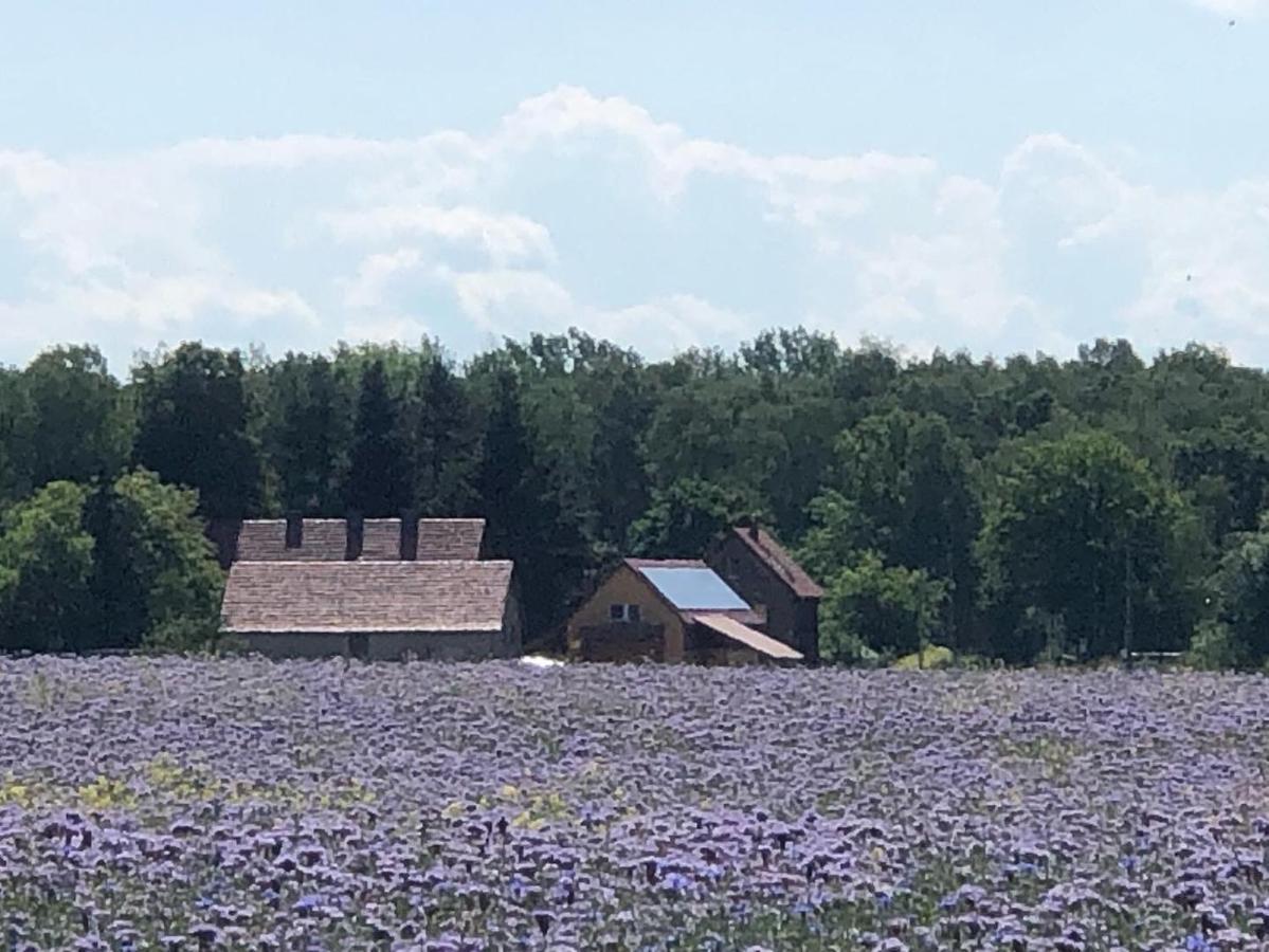 Ferienhof Olbasee Kleinsaubernitz Екстер'єр фото