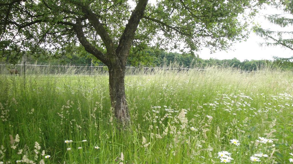 Ferienhof Olbasee Kleinsaubernitz Екстер'єр фото