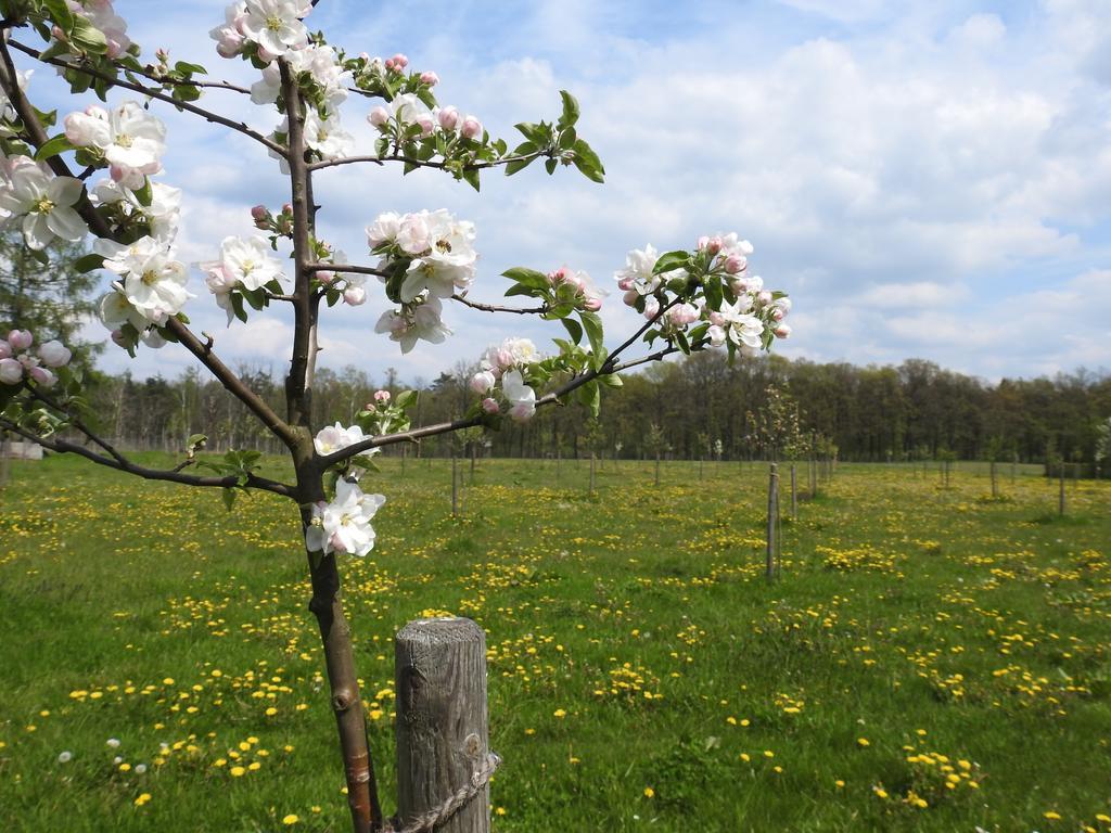 Ferienhof Olbasee Kleinsaubernitz Екстер'єр фото